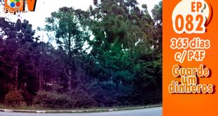 365 dias EP 82 – Guarde um dinheros
