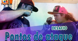 Desafio do Chantilly