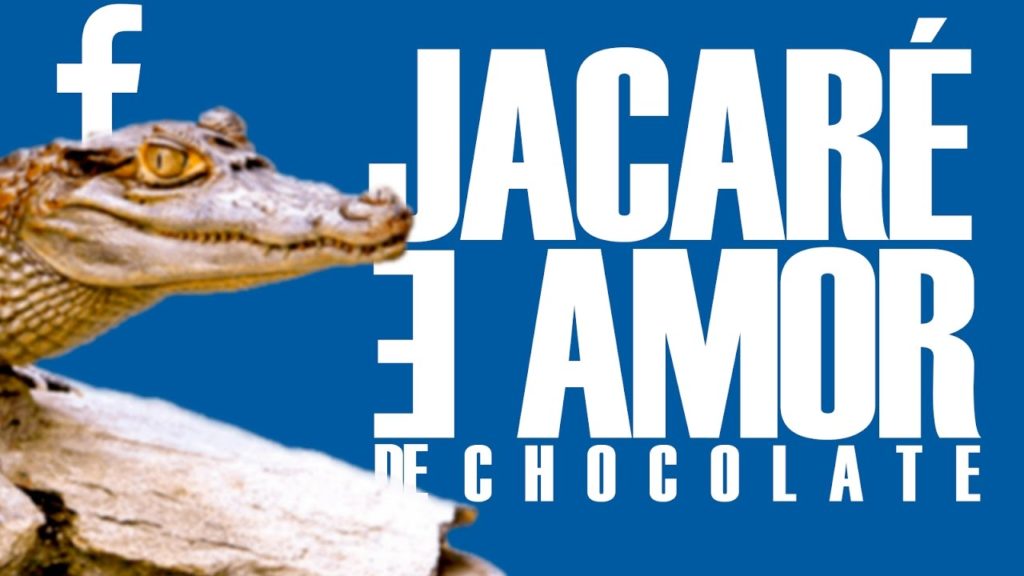 Jacaré e amor de chocolate #FaceLOG
